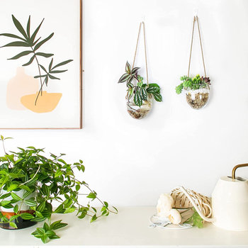 Hanging hydroponic egg-shaped glass vase wall hanging water plant container home gardening wall decoration pendant