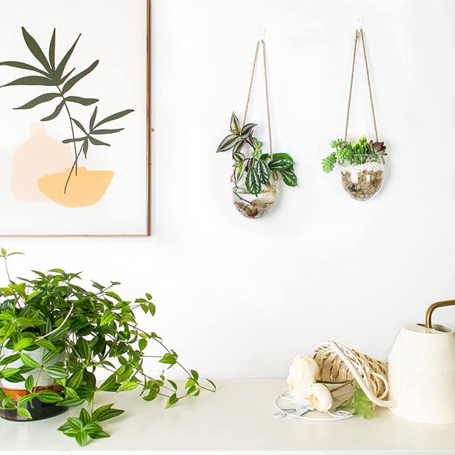 Hanging hydroponic egg-shaped glass vase wall hanging water plant container home gardening wall decoration pendant