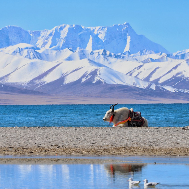 西藏旅游团珠峰羊湖纳木错圣象天门扎西半岛5天2-4人越野团跟团游