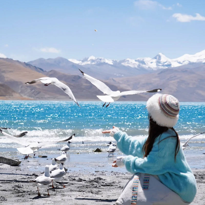 西藏旅游团珠峰羊湖纳木错圣象天门扎西半岛5天2-4人越野团跟团游