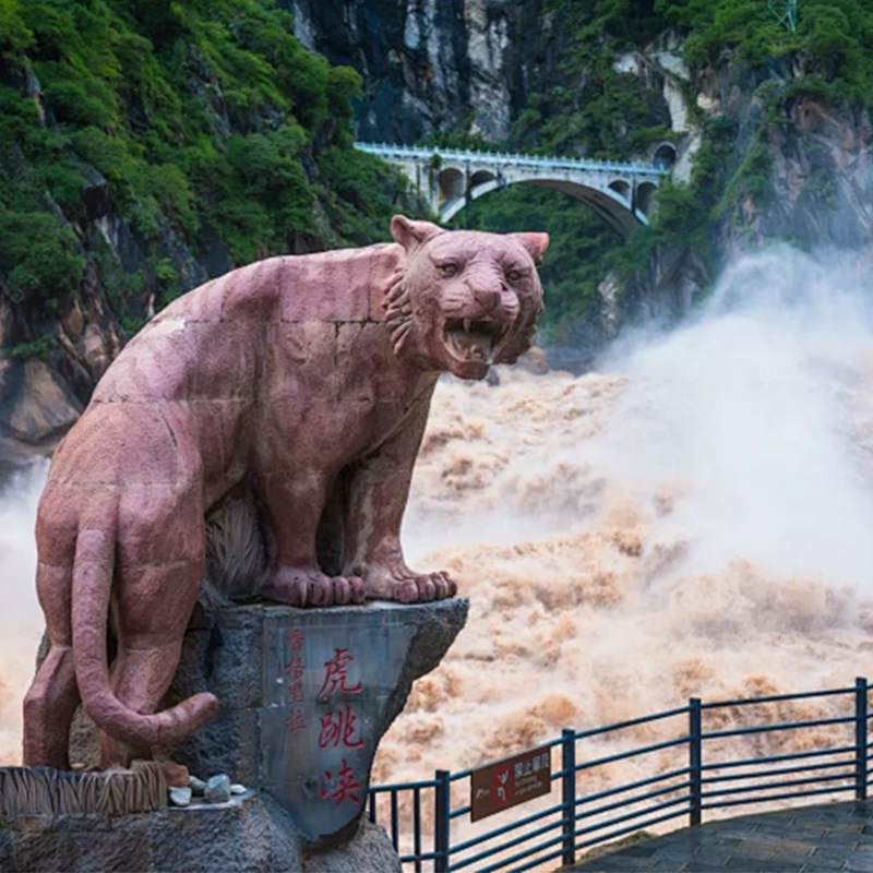 大理|丽江出发香格里拉2日游普达措独克宗古城大经幡虎跳峡含衣氧