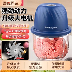 Rongshida Electric Garlic Grinder Household Small Meat Grinder Blender Chopper Garlic Press Garlic Masher Food Processor