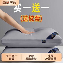 Five-Star Hotel Special Pillow Core, One Pair, Vacuum-Packed, Neck Protection, Home Use, Sleep Aid, Single Pack