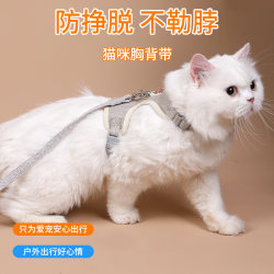 Cute panda cat leash to prevent breaking away and strangulation