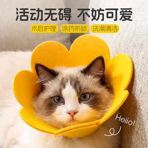 Elizabeth Circle Cat's Nutrition Circle Elisha White Circle Anti -Licking Neck Circle Head Handle Dog Circle Pet Products