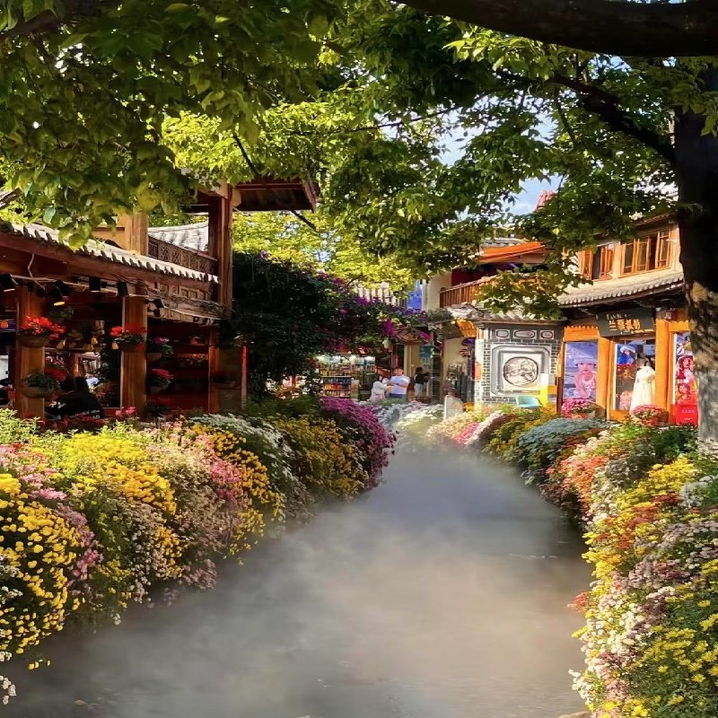 广西动车出发云南昆明大理丽江保证冰川大索道纯玩无自费6天5晚游