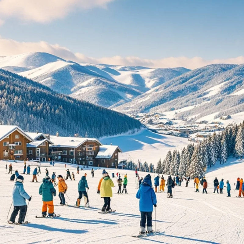 哈尔滨旅游6天5晚雪乡纯玩0购物+一晚5钻喜来登酒店+3小时滑雪