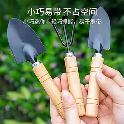 Mini Potted Plant Shovel Set for Gardening, Flower Planting, and Succulent Cultivation, Three-Piece Household Iron Shovel Set
