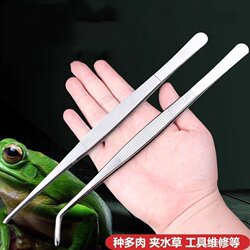 Stainless Steel Thickened Tweezers for Succulent Plants, Fish Tank Aquatic Plants, Multi-Functional Round-Headed Tweezers for Maintenance