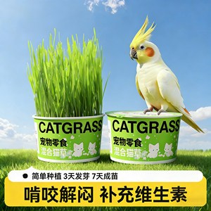 
Parrot grass, wheat seeds, chew feed, bird grass box, black phoenix and tiger skin snacks to promote digestion, relieve boredom and prevent hair pecking