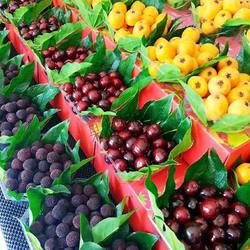 Artificial Octagonal Gold Leaf Fruit Shop Display Decorations Fake Leaves Green Plants Fruit Shop Fake Leaves Lawn Mat