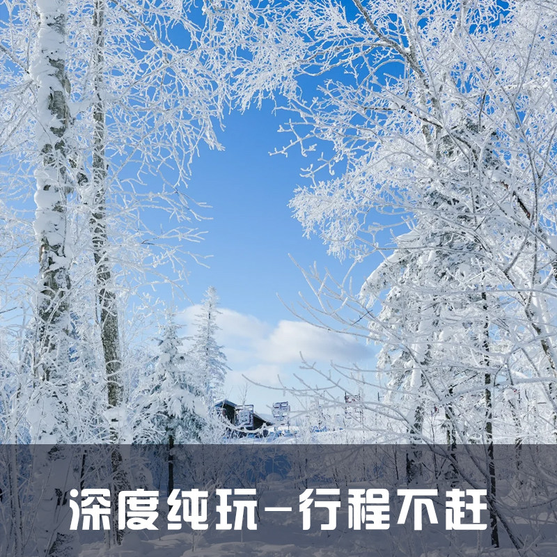 哈尔滨雪乡旅游纯玩三日游亚布力旅游12人精品小团高端私家跟团游