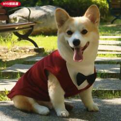 Corgi Shiba Inu Teddy Dog Clothes Autumn and Winter Fleece Warm Vest Pet Suit Shirt Suit Dress Sweatshirt