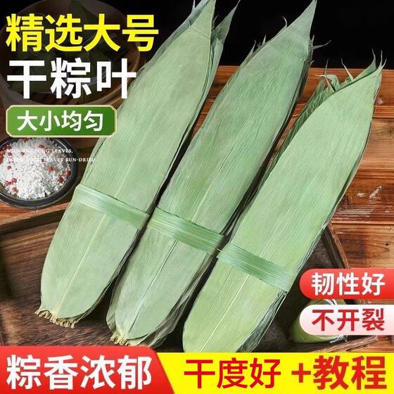 
Fresh dried rice dumpling leaves are wide and thick. Natural rice dumpling leaves are specially used for wrapping rice dumplings. They are fragrant and soft. Wholesale for home and commercial use.