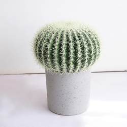 Spot artificial plants cactus green plants landscape decoration simulation plants sand green plants cactus potted plants