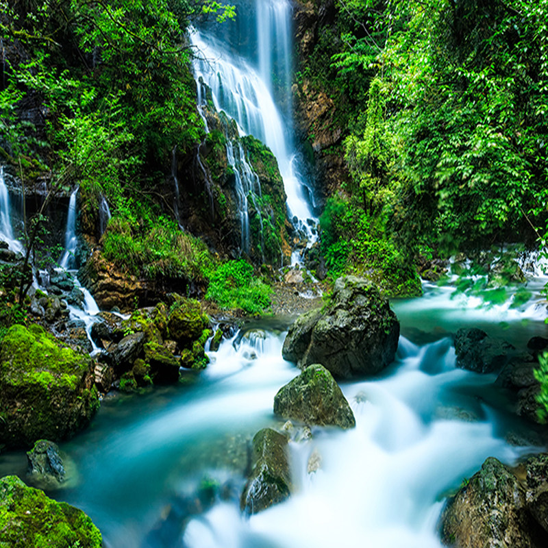 『神农架2日游|司机兼向导带玩/私家包车游』华中屋脊 经典秘境
