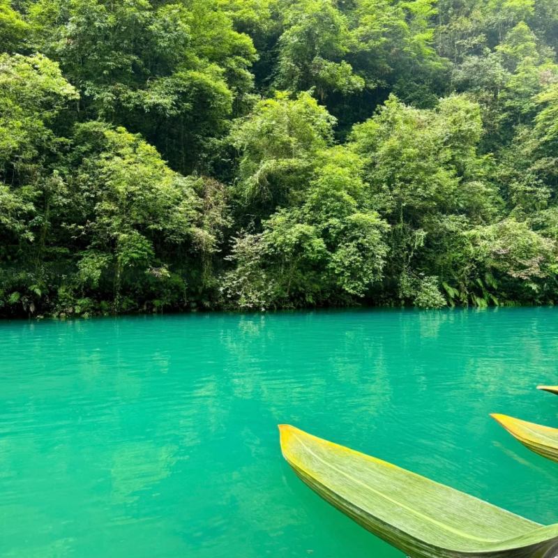 【私家包车游|湖北神农架+大九湖+恩施 7日游】 体验住在风景里