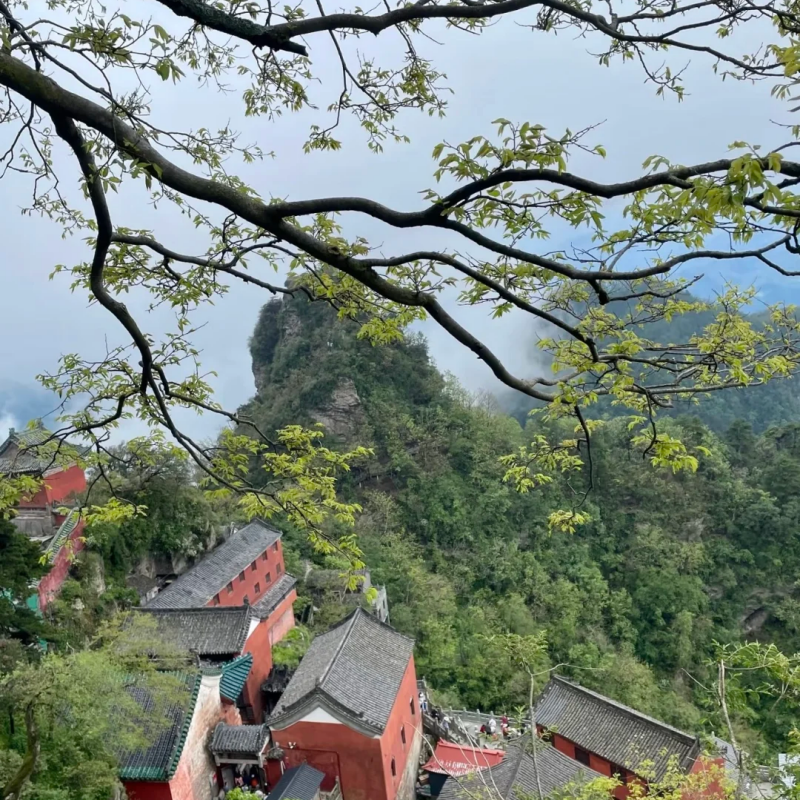 【2-8人拼小团】湖北神农架+武当山+武汉6日游 江城遇上神武线