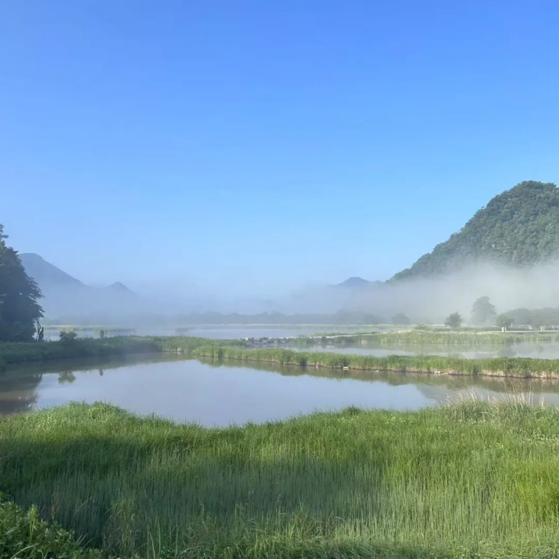 『湖北神农架+大九湖+宜昌三峡全景3日游』司机兼向导/私家包车游
