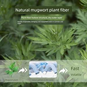 
Mugwort ice silk mat summer 2025 new rattan mat bamboo mat soft mat Class A mother and baby class dormitory single sleep