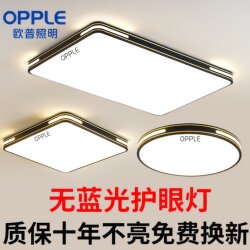 Op Lighting Led Eye-Protection Ceiling Light for Hall, Living Room, Bedroom, Kitchen, Dining Room, Whole House Package 2026 New Model