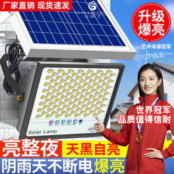 2025 New Solar Lighting Lamp for Courtyard, Outdoor Gate, Waterproof Indoor Rural Solar Lamp