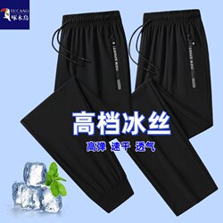 Woodpecker Ice Silk Pants for Men, Summer Thin Quick-Dry Sports Pants, Loose Long Pants, Straight-Leg Jogger Casual Pants for Men