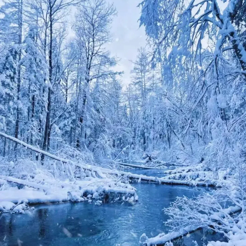 2-6人小团延吉长白山2日游雪岭延吉民俗园图们口岸纯玩0购物