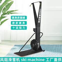 Commercial wind resistance ski machine gym aerobic exercise equipment women's shaping indoor simulated rowing training device