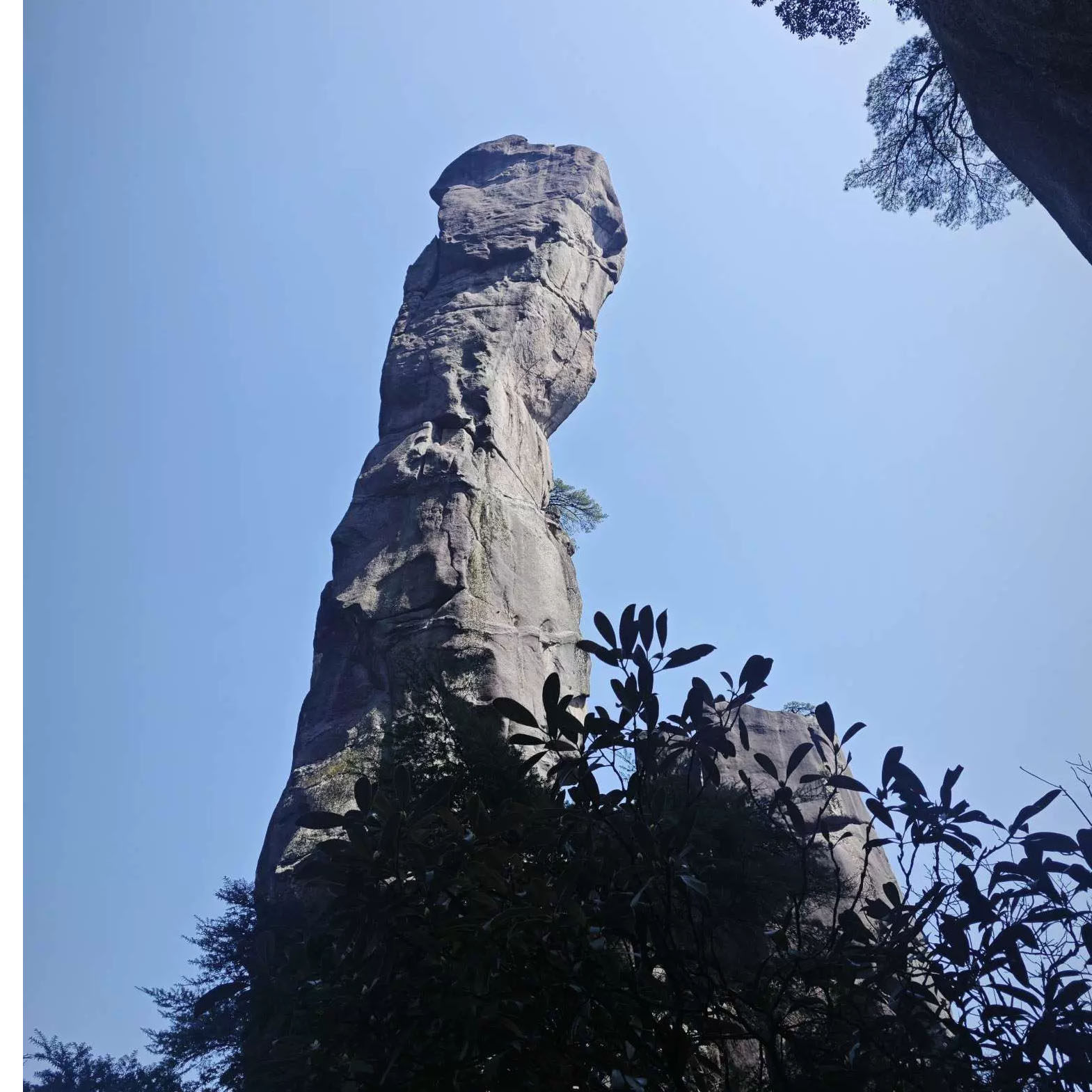 臻选婺源篁岭+三清山2日8人小团︱赏悬壁幻境,游崖上古村畅游江西