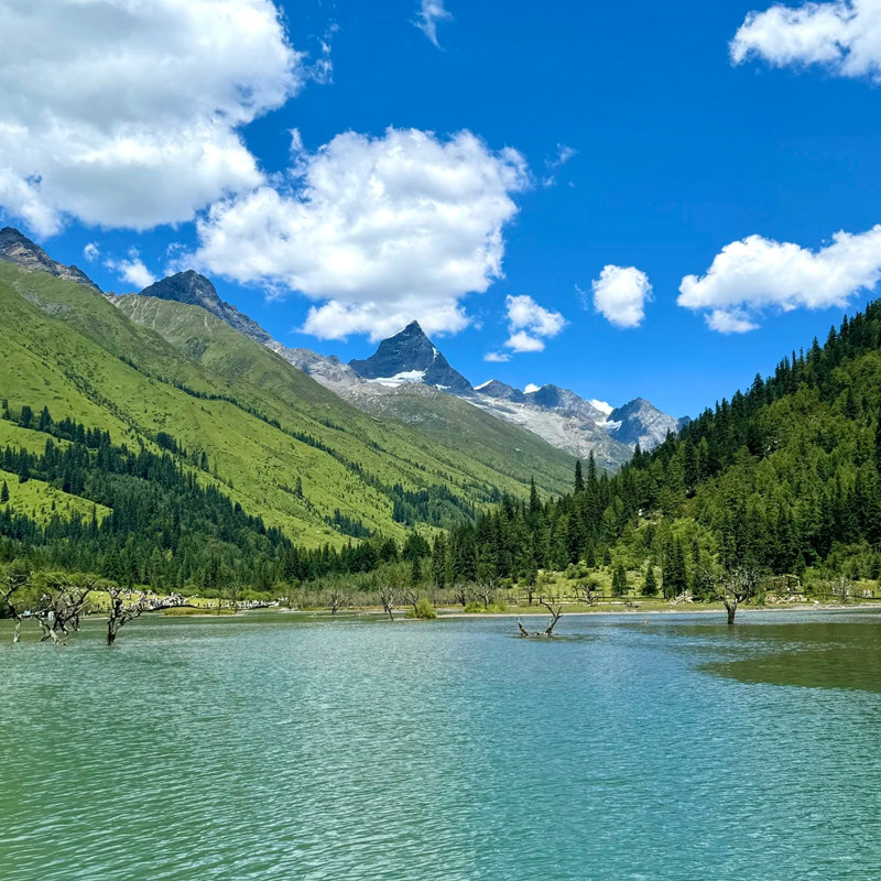 私家团川西四姑娘山一日游毕棚沟1天成都包车纯玩周边旅游2-8人团