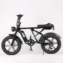 Fat Tire E-Bike for Adults with Seven-Speed Transmission and Disc Brakes 20inch Mountain Electric Assist Off-Road Bicycle with Long Range