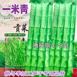 
One-meter green cabbage seeds, four-season high temperature and cold-resistant moss dried vegetable seeds, special dried bamboo shoots, mountain stingrays, and vegetable seeds