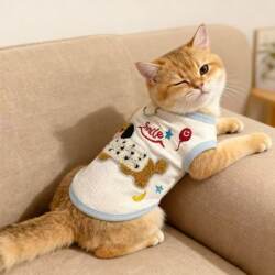 Cat Clothes for Autumn and Winter, Cute Embroidered Home Wear, Spring and Summer Anti-Shedding Cloth for Ragdoll, Devon Rex, and Golden Gradient Kittens, Pet Clothing