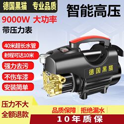 Black Cat High-Pressure Cleaning Machine, Fully Automatic Adjustable Pressure Car Pump, High-Power 220V Household Powerful Portable Car Washing Machine