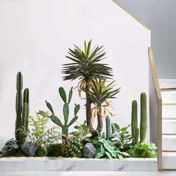 Entrance hall simulated cactus green plants to create a landscape high-end light luxury tropical anti-real artificial plant layout combination