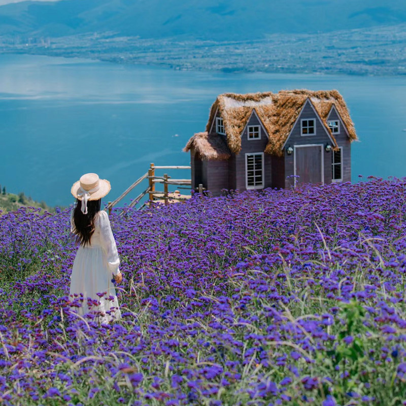 【纯玩小团2-15人】云南旅游大理丽江香格里拉泸沽湖7天6晚跟团游