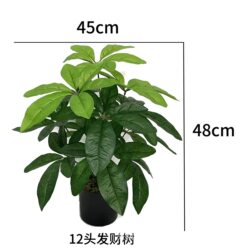 Direct Sales of Artificial Green Plants, Money Trees, Landscaping, Fake Flowers, Fake Potted Plants, Living Room, Hotel, Restaurant, Interior Decoration