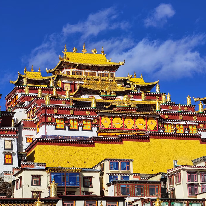 【私家团】云南旅游纯玩香格里拉出发 香格里拉1日游包车小团旅行