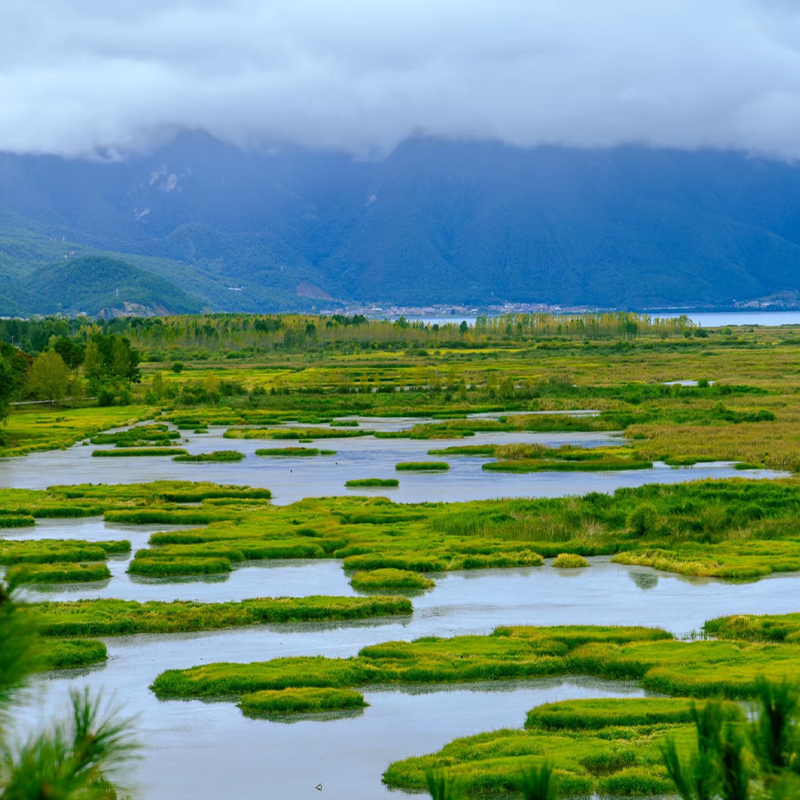 云南旅游大理丽江香格里拉泸沽湖私享时光8天7晚纯玩旅拍跟团游