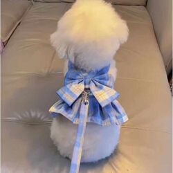 Dog Leash Summer Thin Style for Teddy, Bichon, Pomeranian, Schnauzer Small Dogs, Jk Skirt Pet Cat Harness