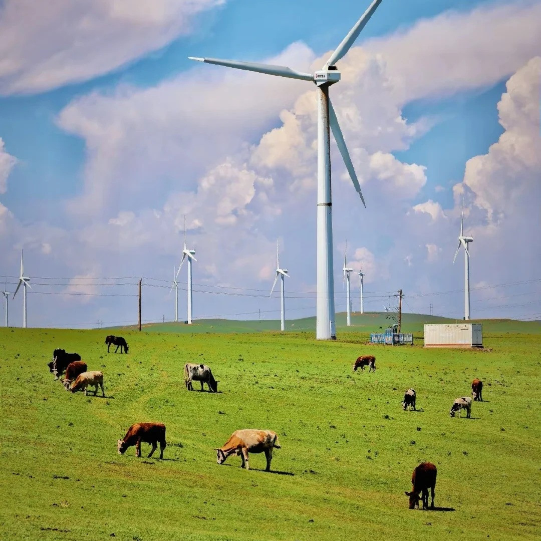 6人小团辉腾锡勒草原乌兰哈达火山库布齐沙漠2日游内蒙古旅游