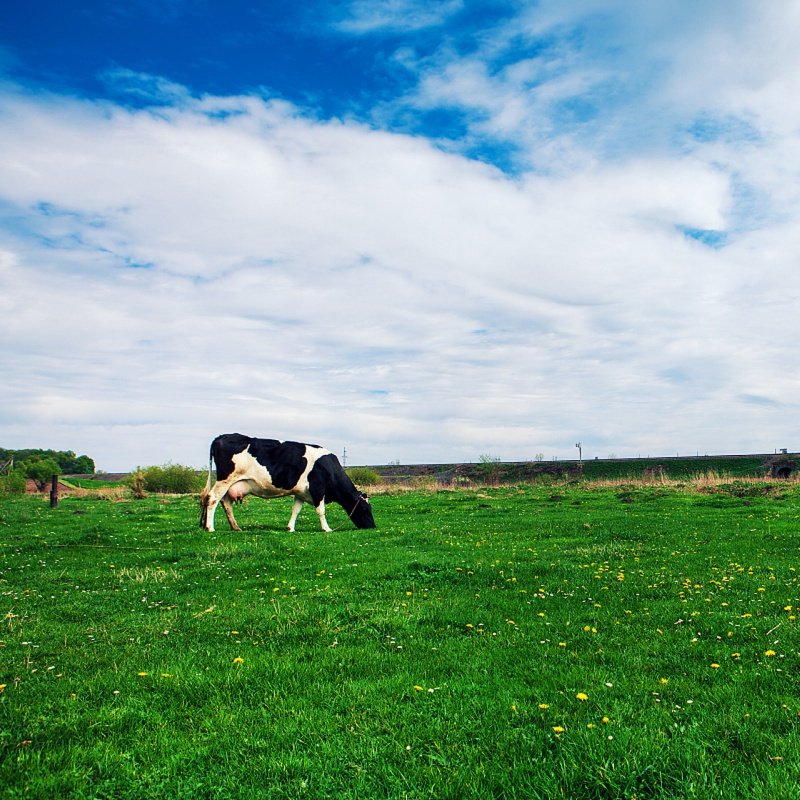 通湖草原+沙坡头纯玩1日游