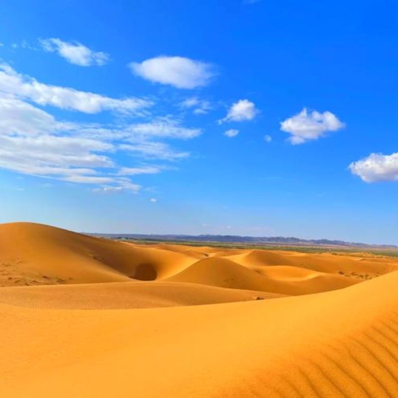 腾格里沙漠 越野车五湖穿越 纯玩1日游 1-8人精品小团 赠航拍