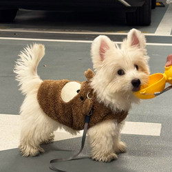 Dog Clothes for Small Dogs, Thick Winter Style, West Highland Terrier, Bichon Frise, Teddy, Small Dog Warm and Cold-Proof Vest with Leash Attachment