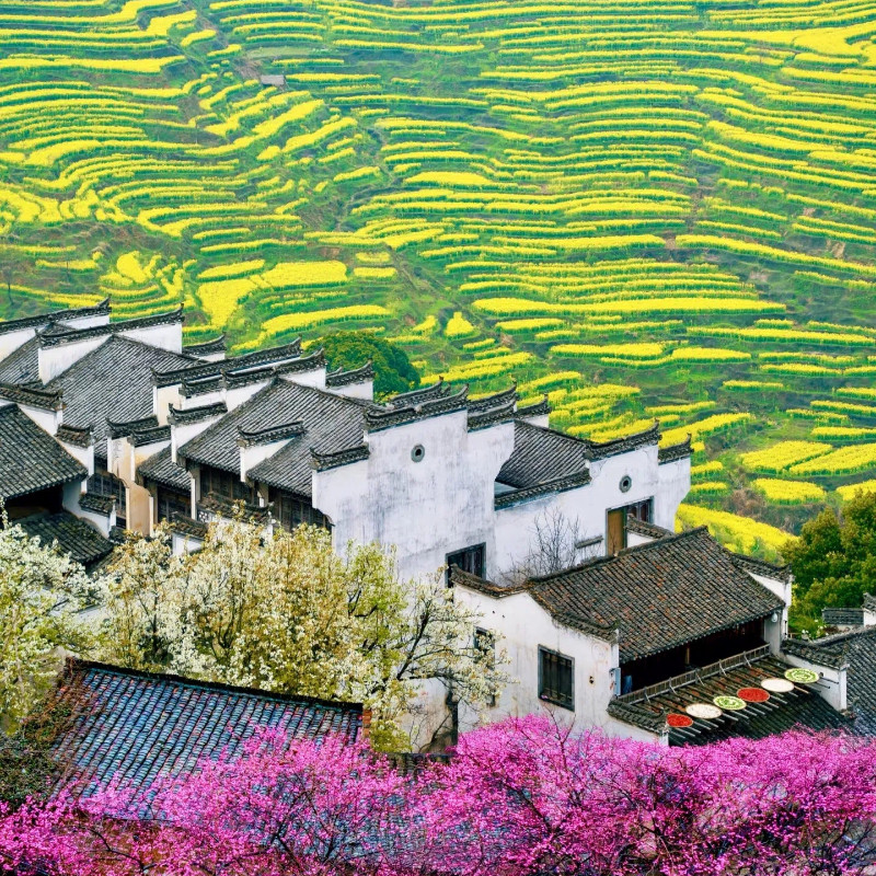 江西5天私家团含包车/南昌+庐山+景德镇+婺源篁岭+希尔顿/漫心府