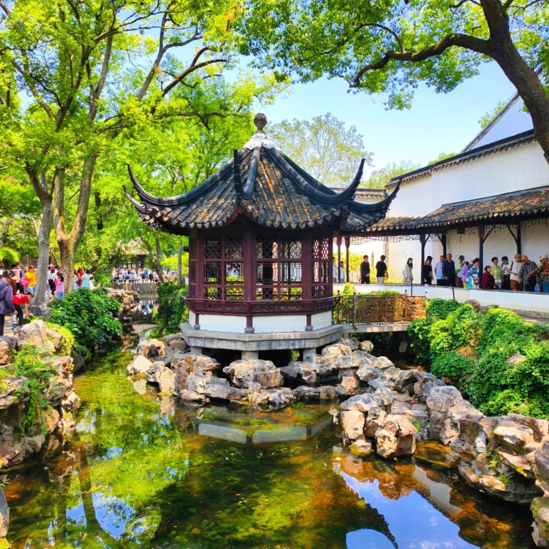 苏州包车1日游+寒山寺/拙政园/虎丘/酒店上门接送+独立成团不拼团