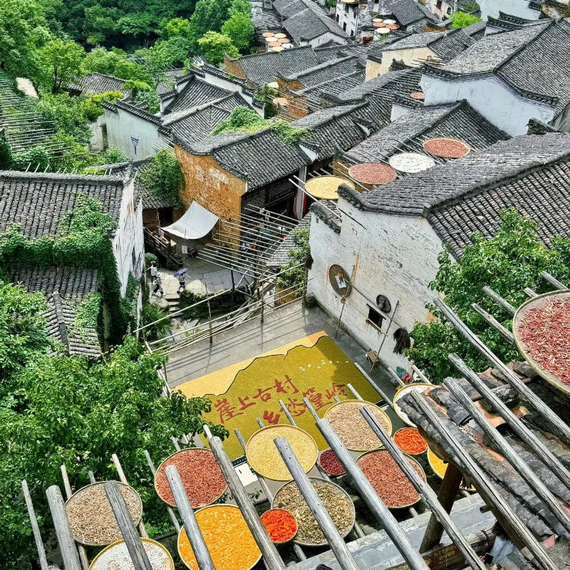 江西5天私家团含包车/南昌+庐山+景德镇+婺源篁岭+希尔顿/漫心府