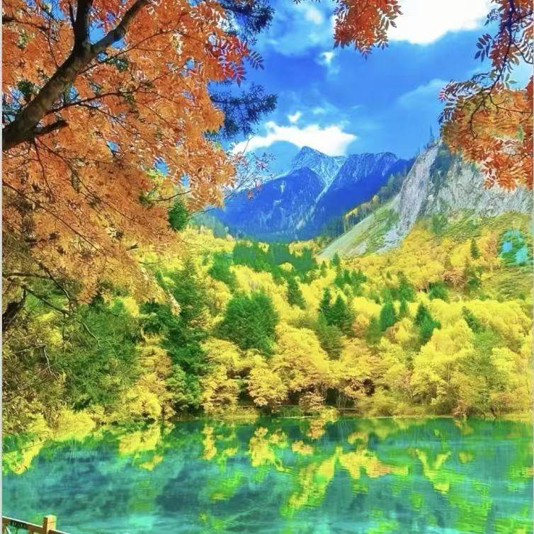 九绵寻花 -九寨沟-熊猫基地