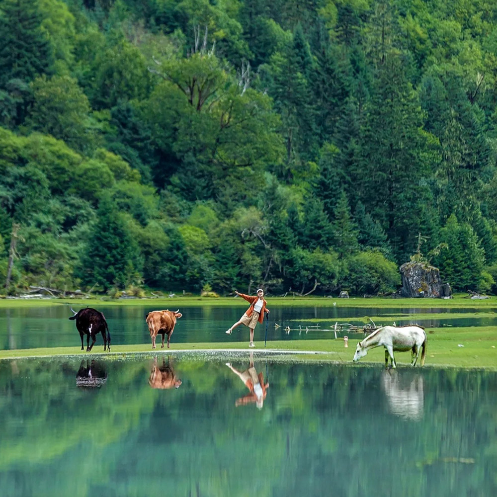 川西旅游四川峨眉山九寨沟稻城亚丁四姑娘山冷嘎措3-4-5-6-7日游